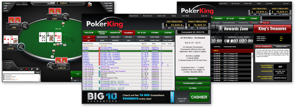 igsoft free poker software download